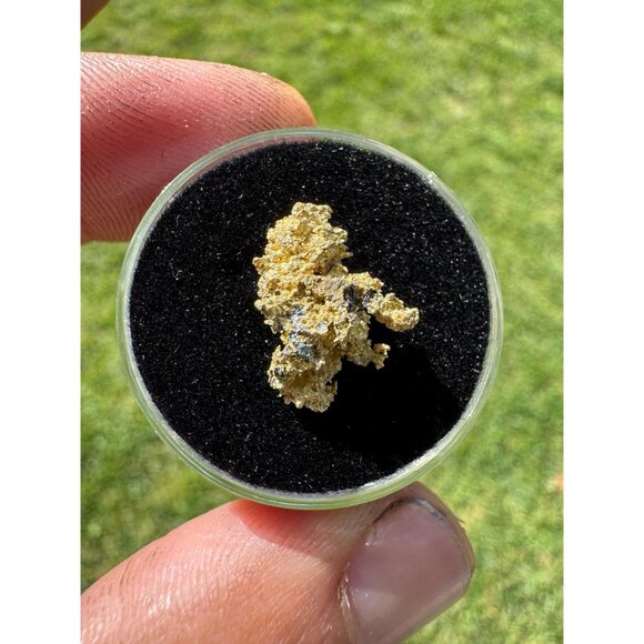California Native Gold Crystal - 1.46 grams - Picture 3 of 5